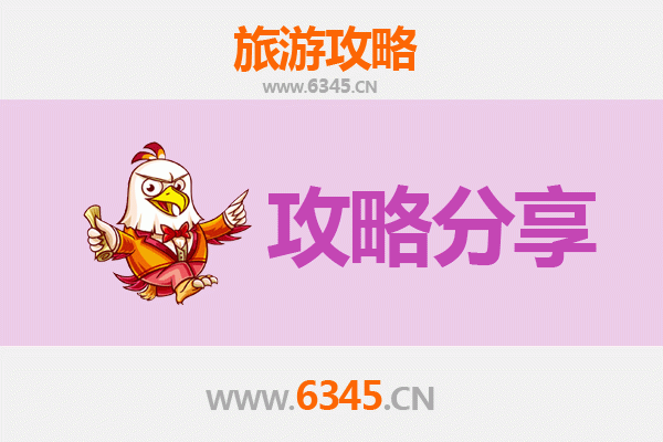 德州平原出发湄洲岛旅游攻略：跟团 vs 自由行深度解析
