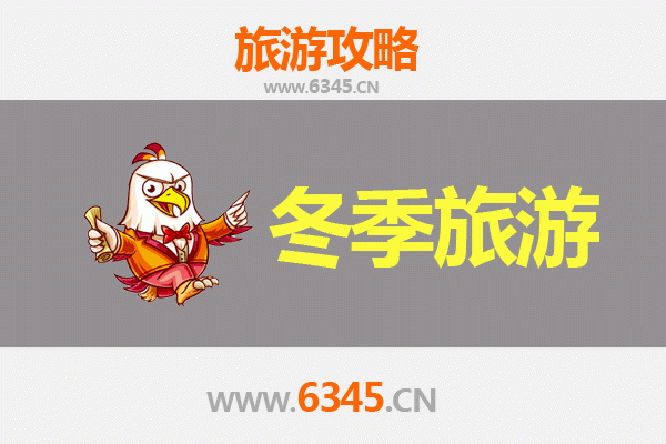 德州平原冬季旅游攻略：冰雪奇缘与暖意之旅
